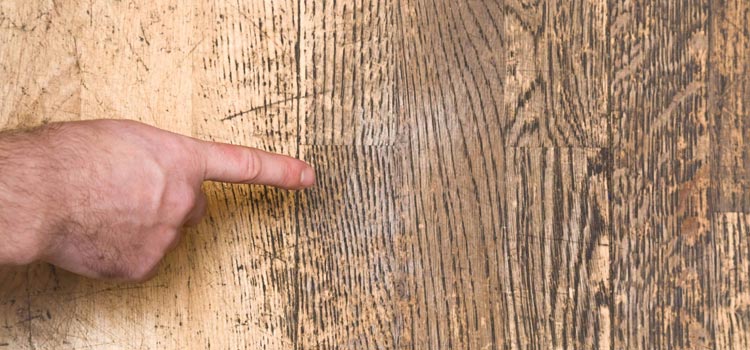 Wood Door Scratch Repair in Mountain House